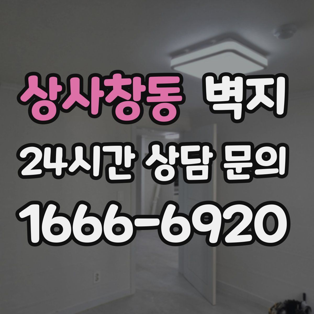 상사창동 벽지