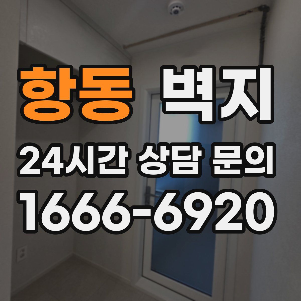 항동 벽지