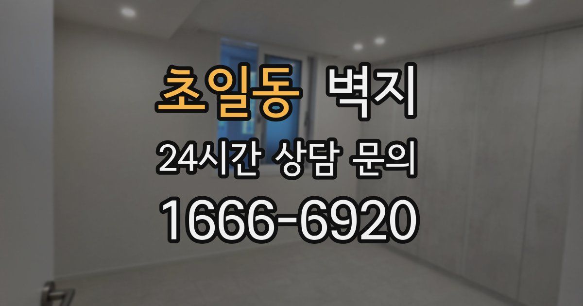 초일동 벽지