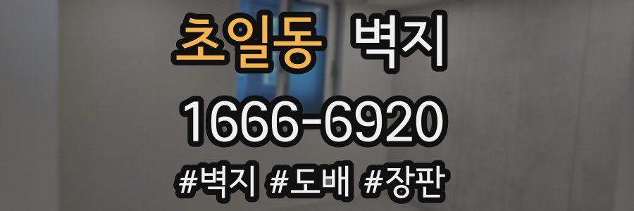 초일동 벽지