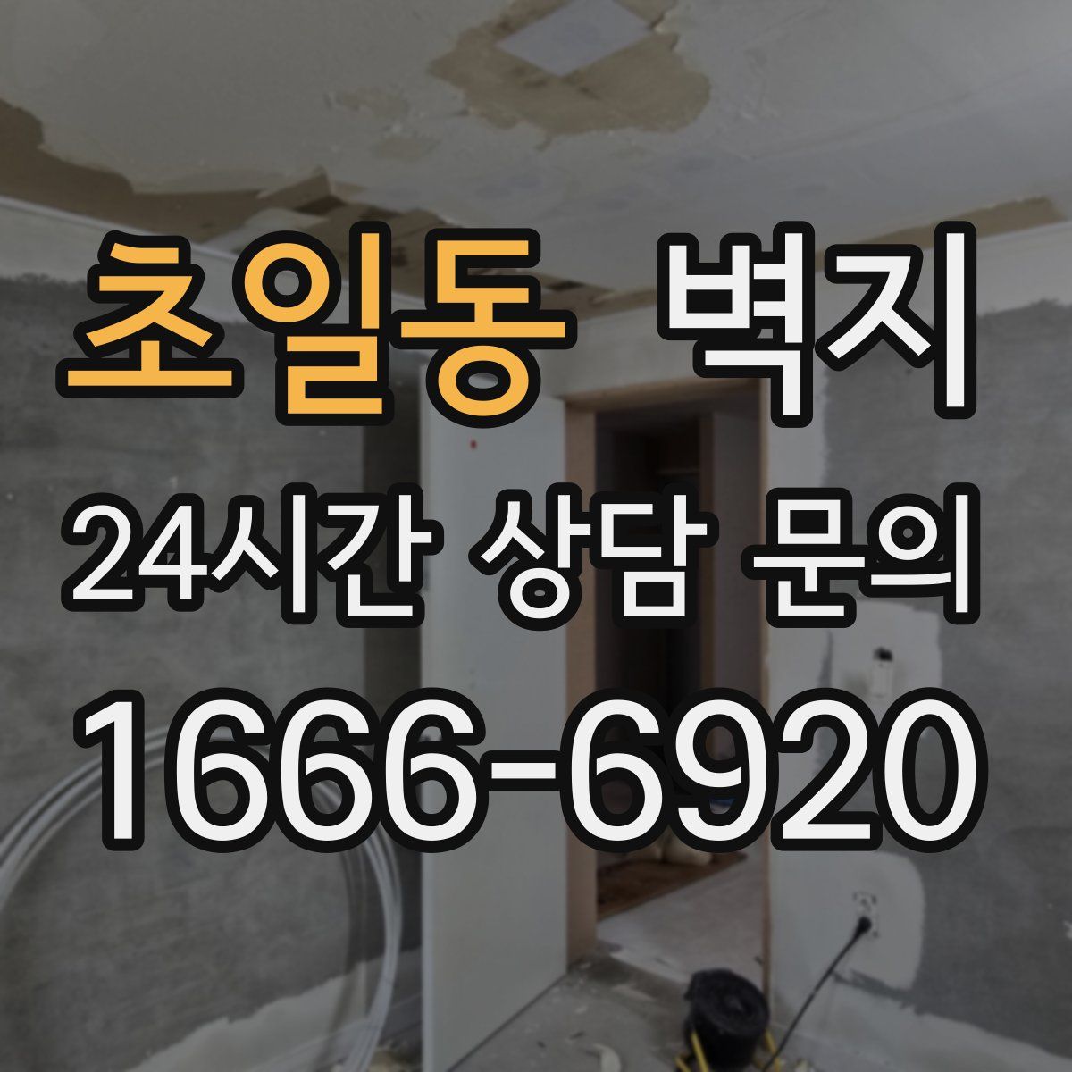 초일동 벽지