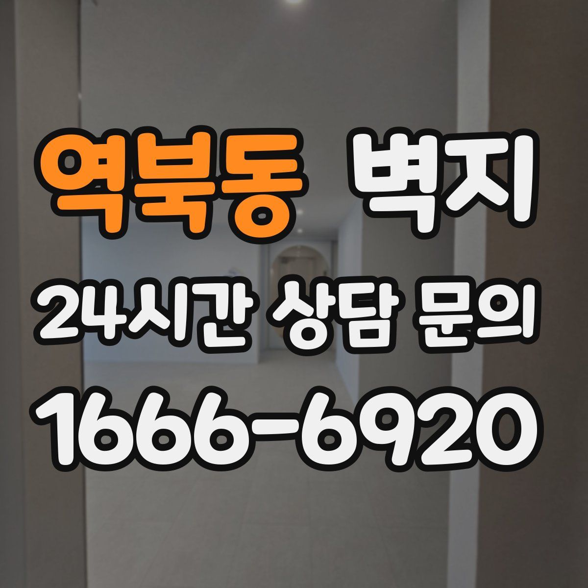 역북동 벽지