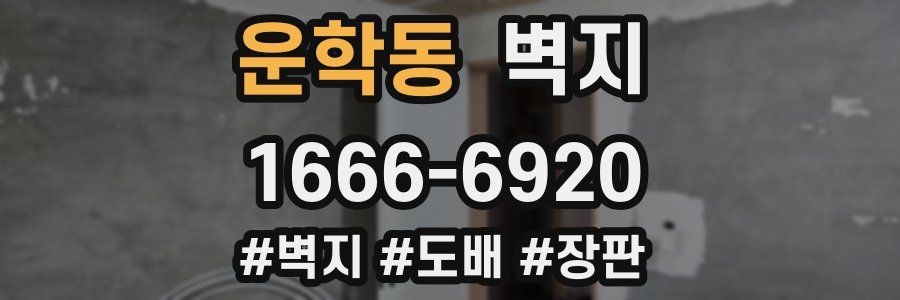 운학동 벽지