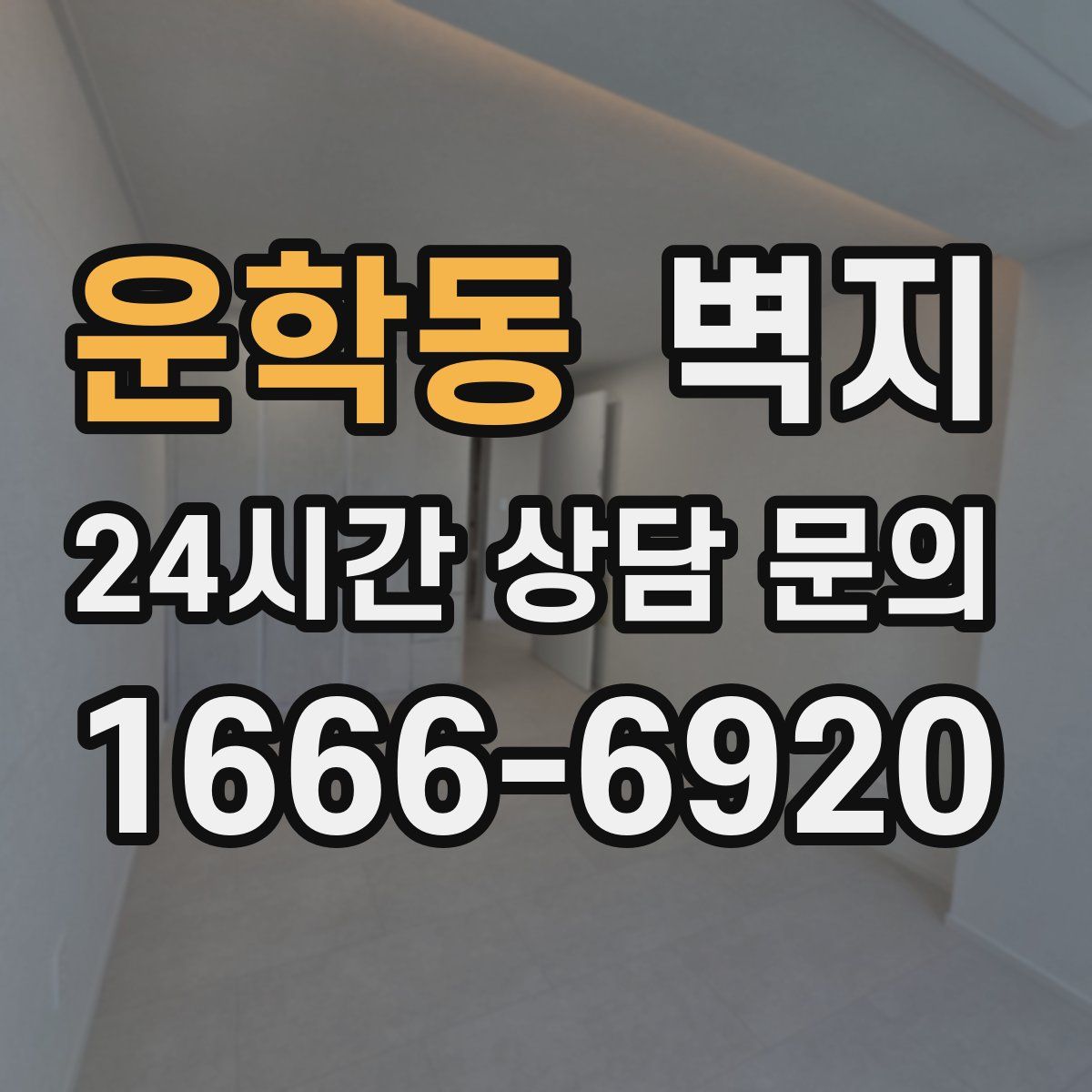 운학동 벽지