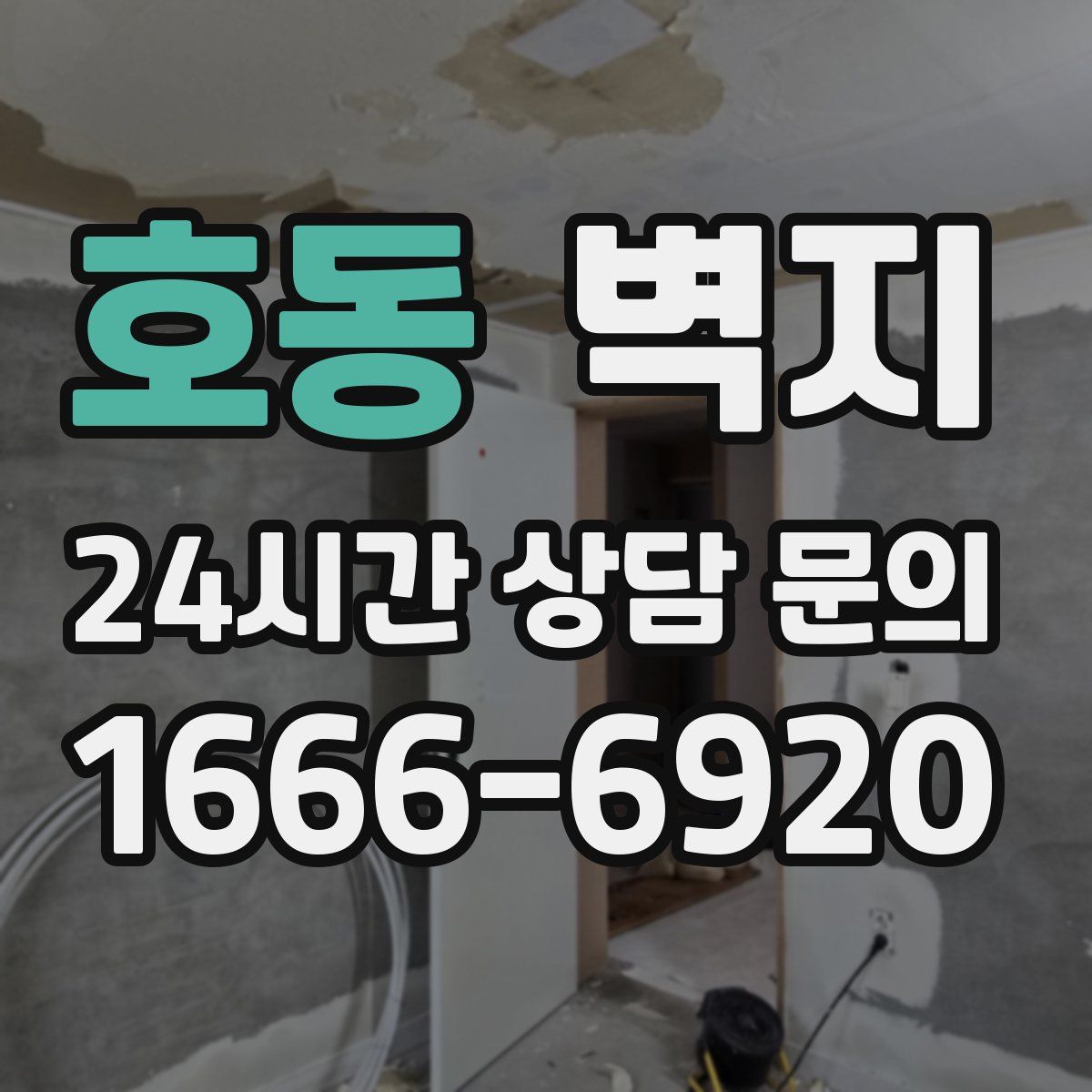 호동 벽지