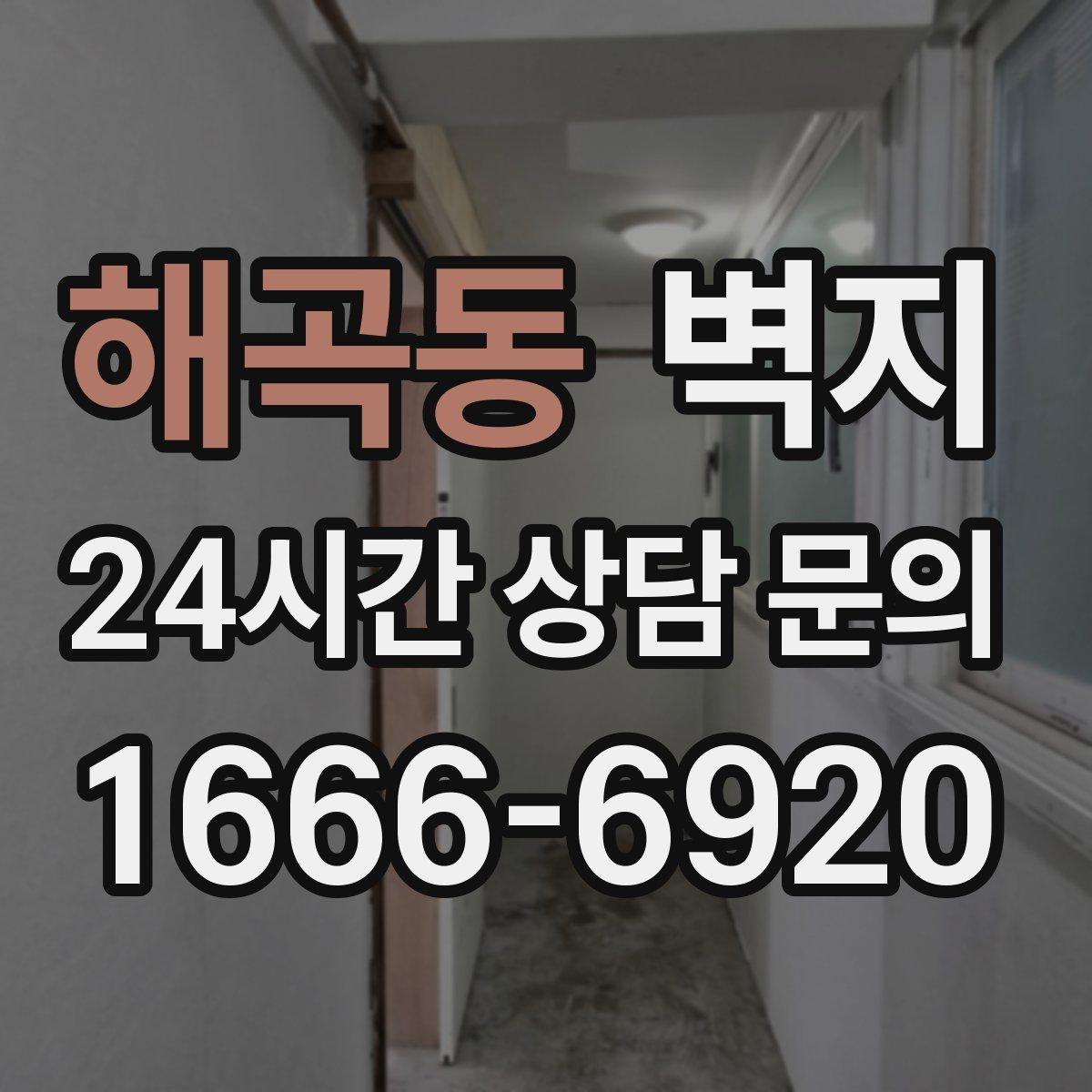 해곡동 벽지