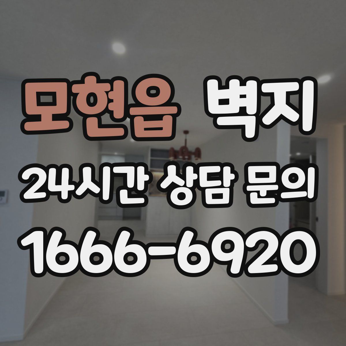 모현읍 벽지