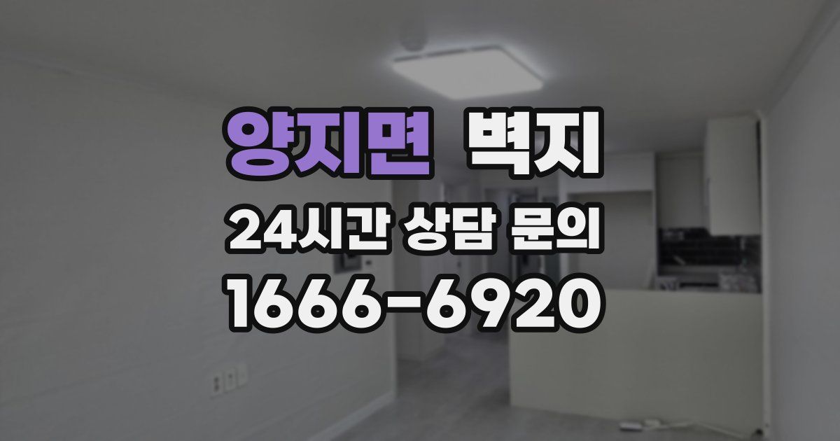 양지면 벽지