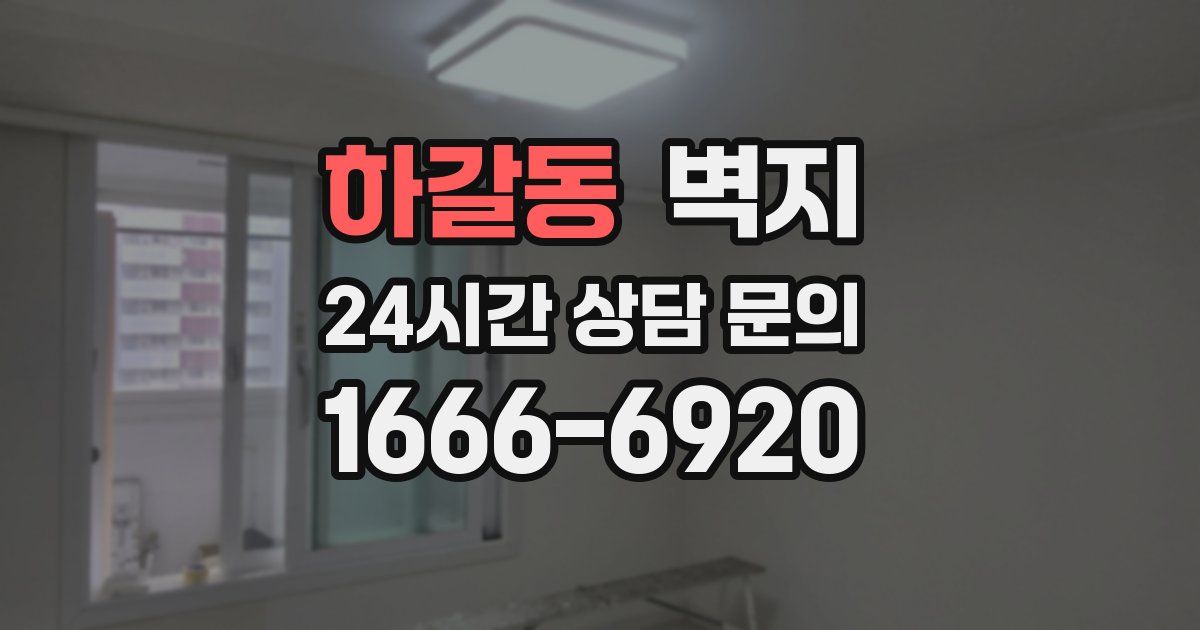 하갈동 벽지