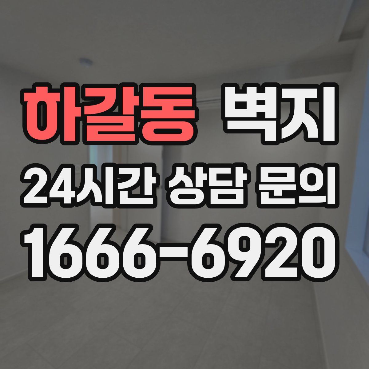 하갈동 벽지