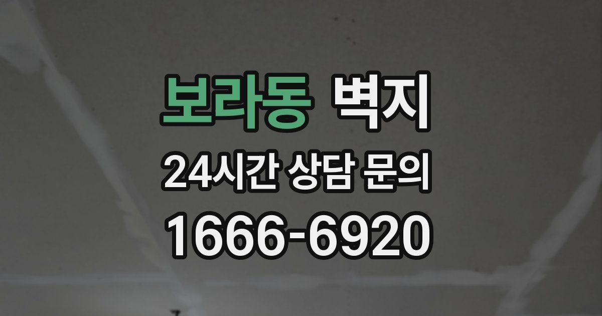 보라동 벽지