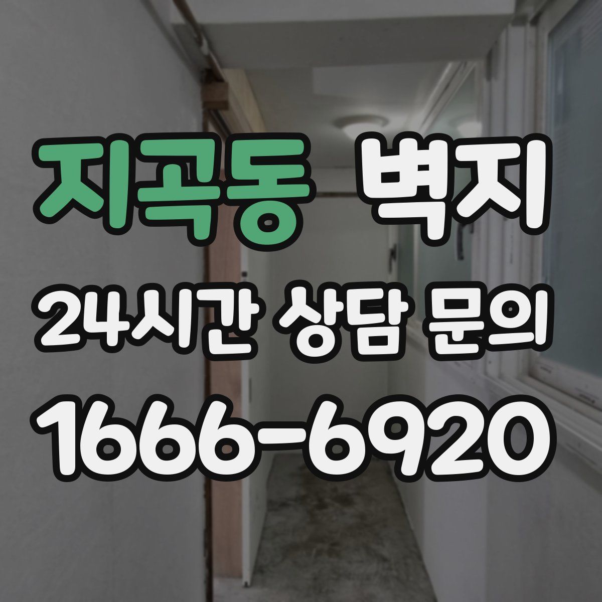 지곡동 벽지