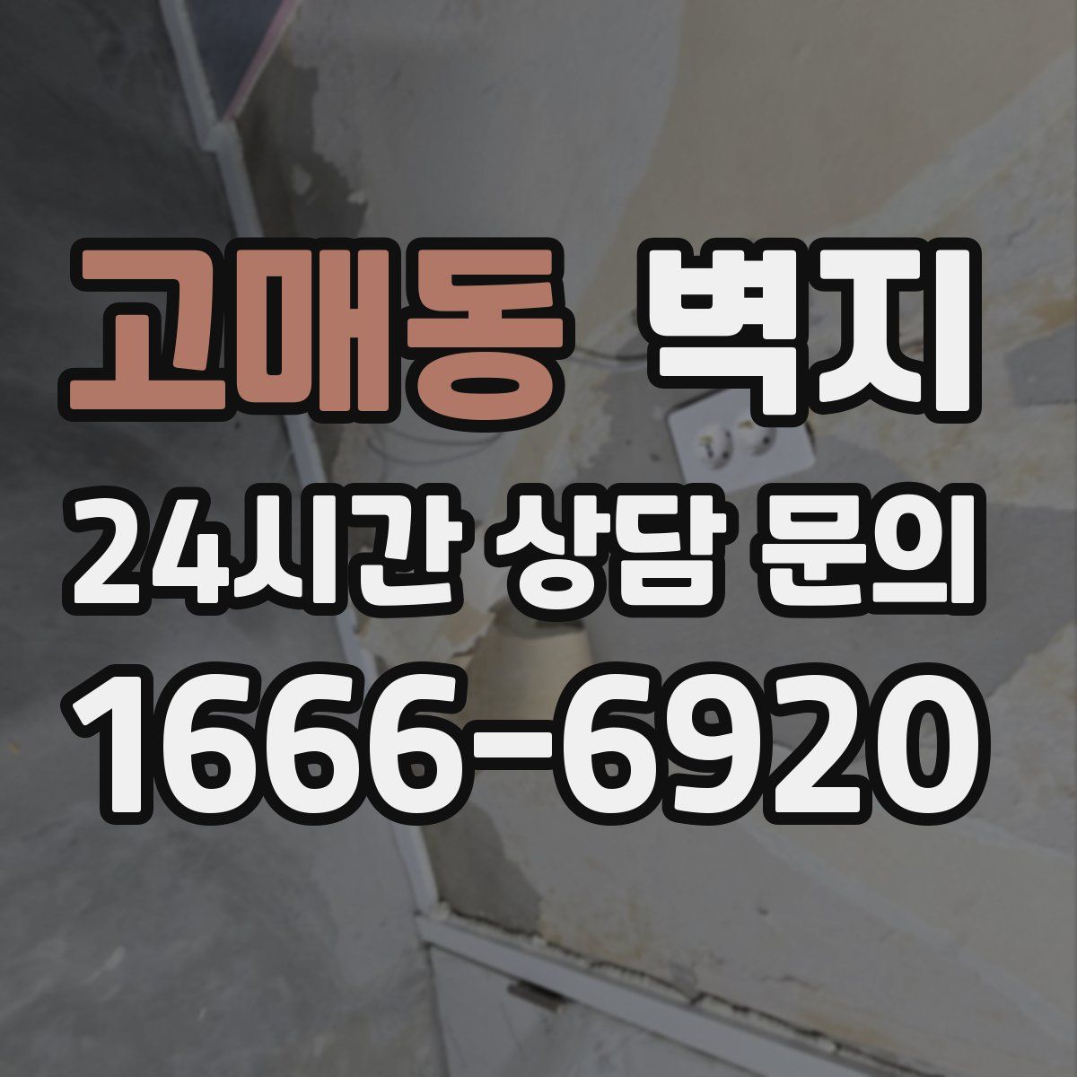 고매동 벽지