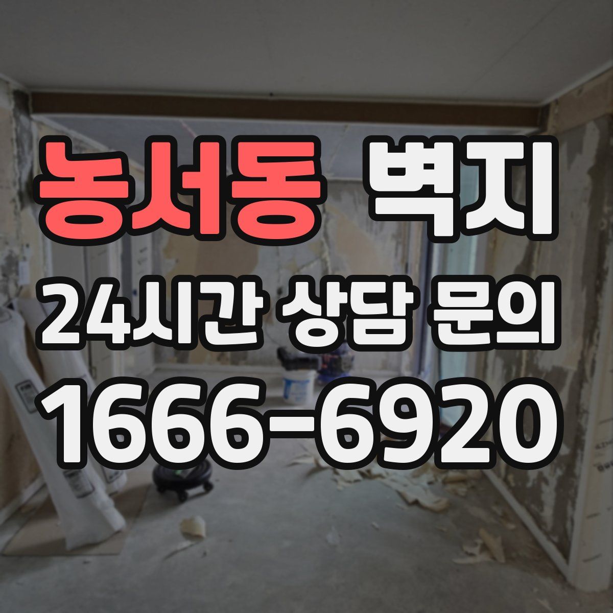 농서동 벽지