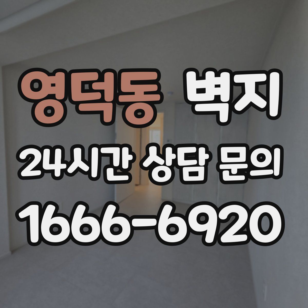 영덕동 벽지