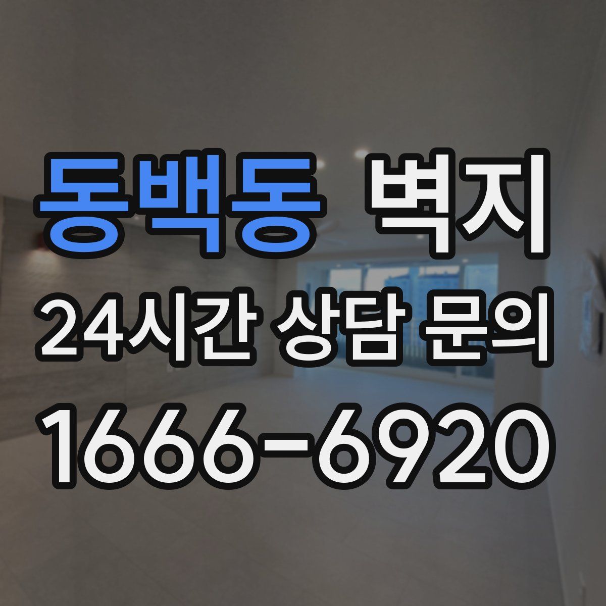 동백동 벽지