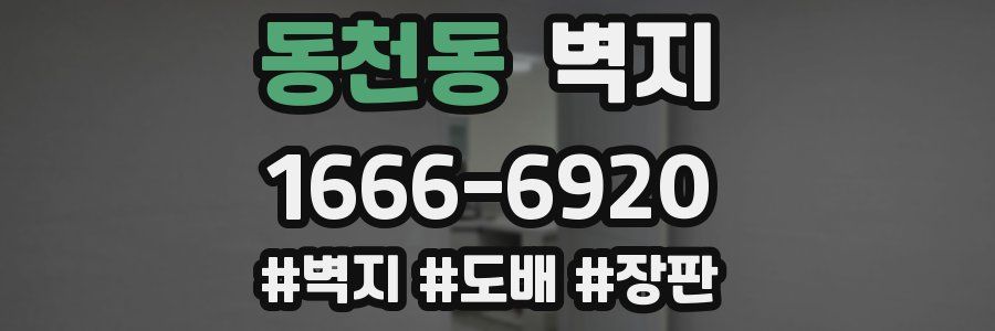 동천동 벽지