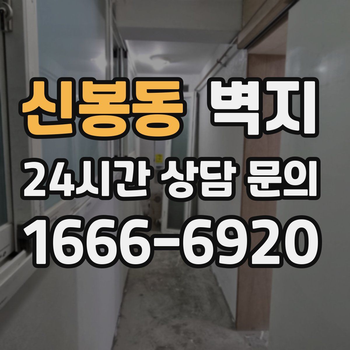 신봉동 벽지