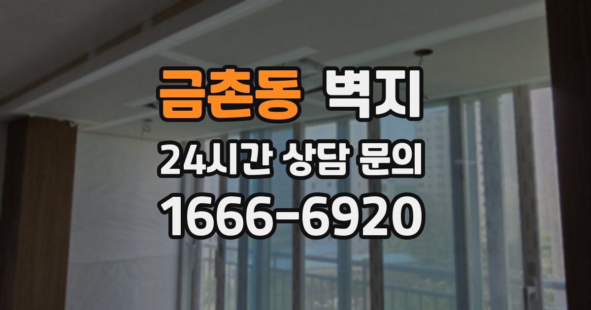 금촌동 벽지