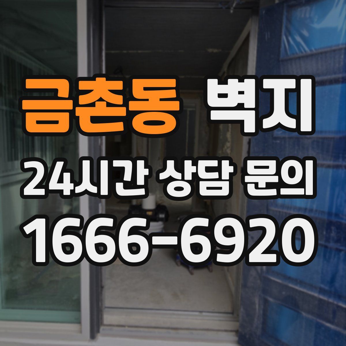금촌동 벽지