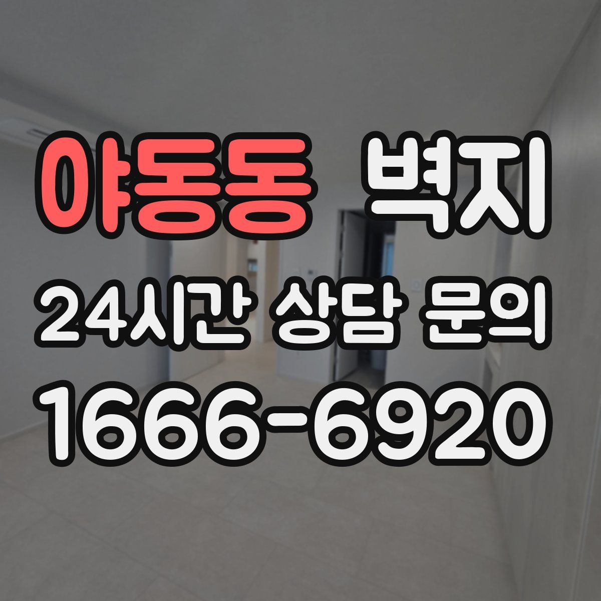야동동 벽지
