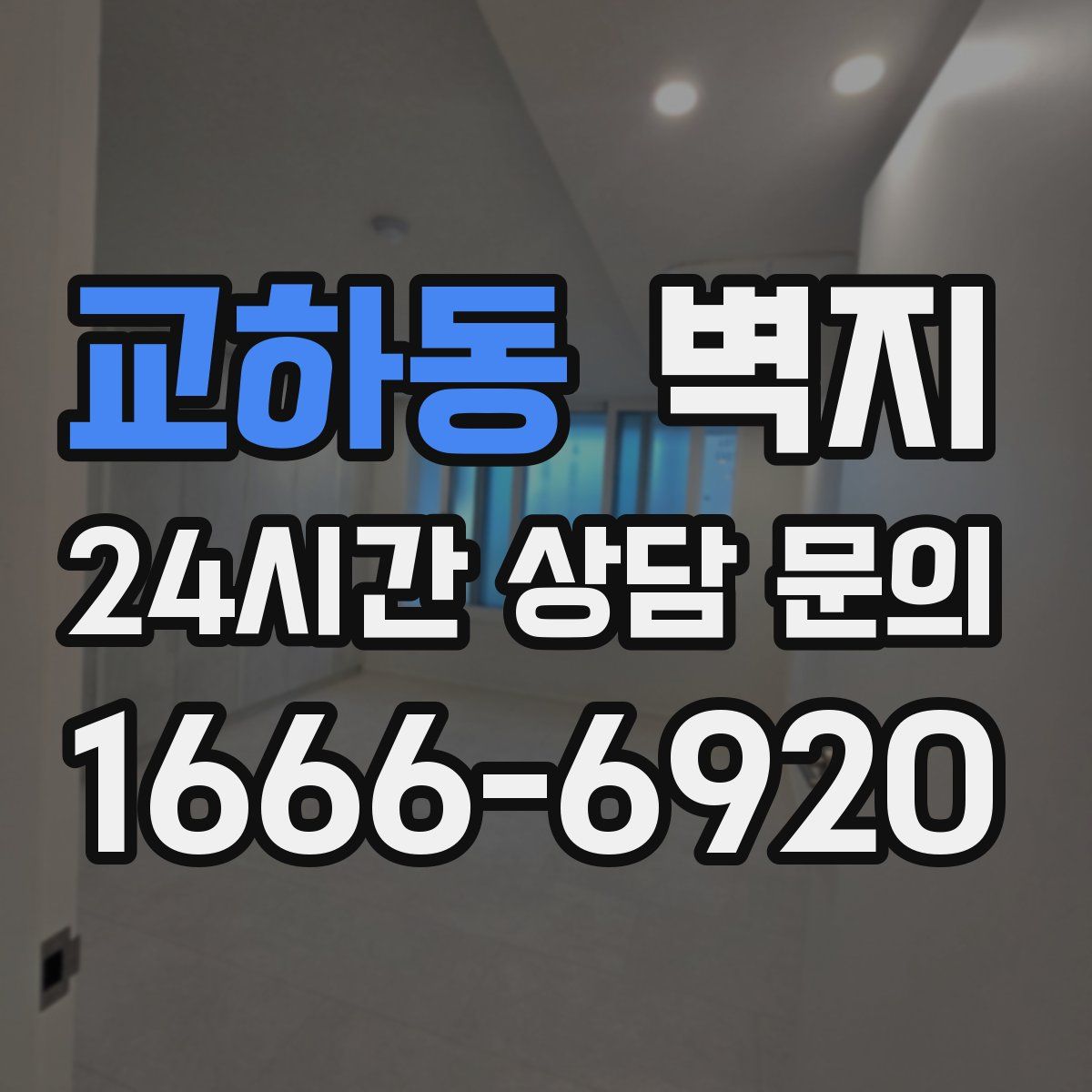 교하동 벽지