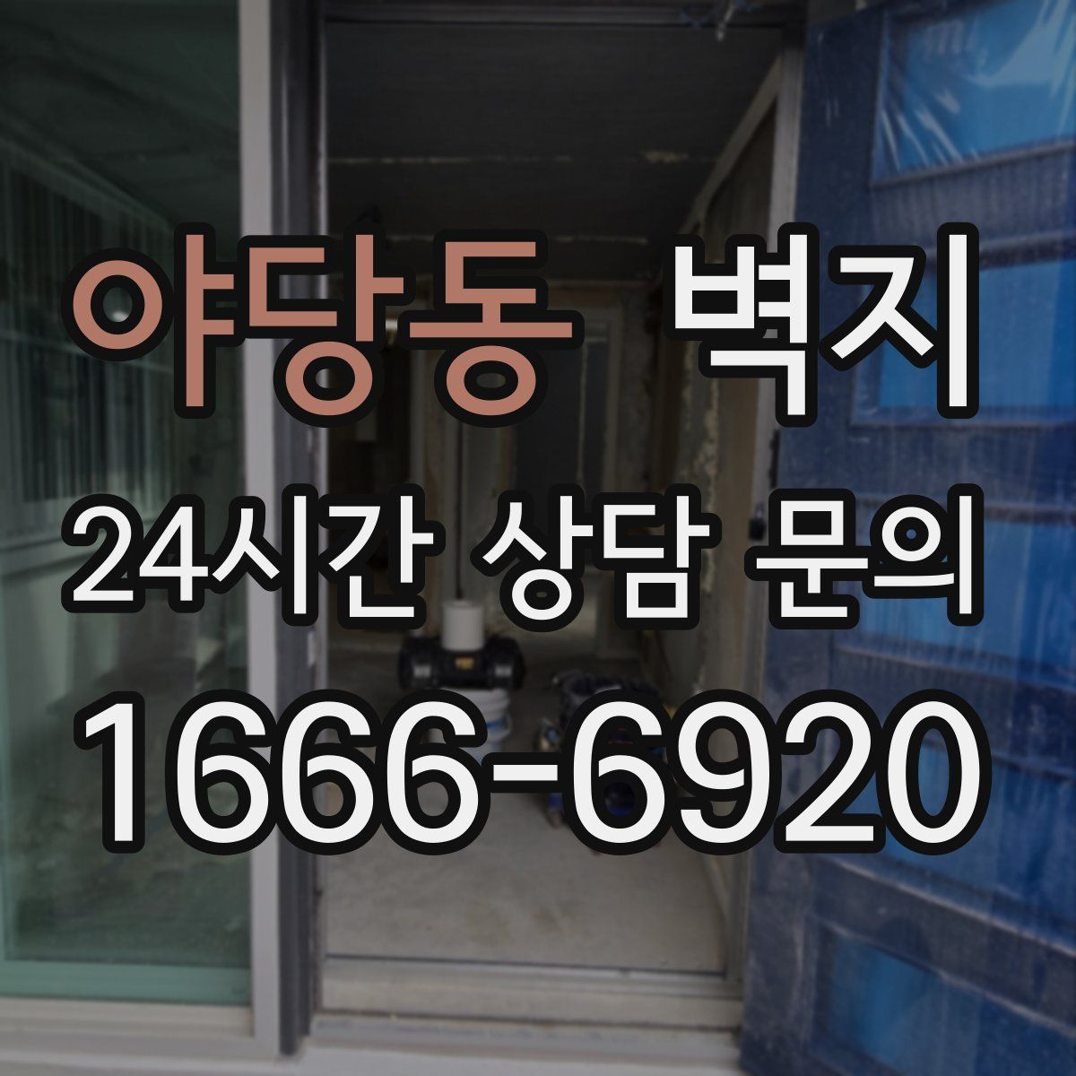 야당동 벽지