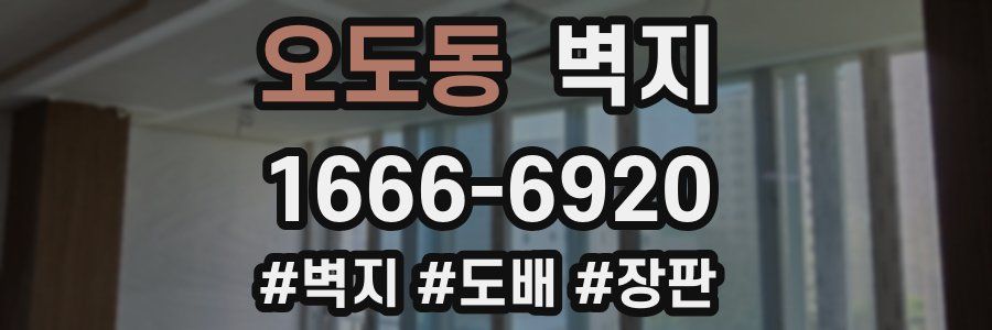 오도동 벽지