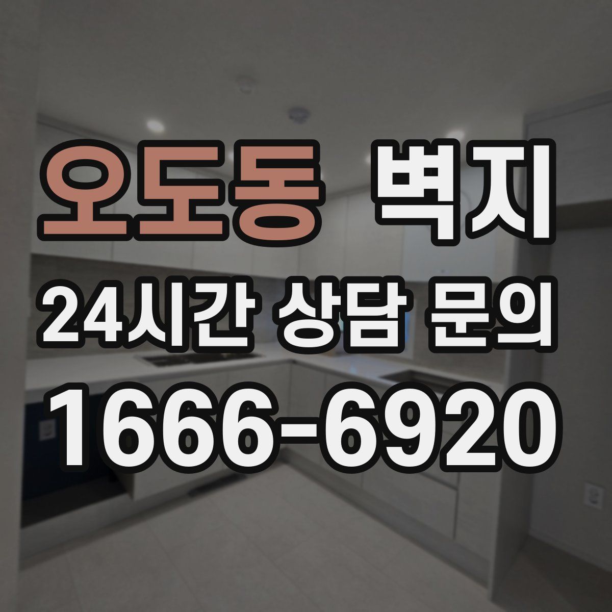 오도동 벽지