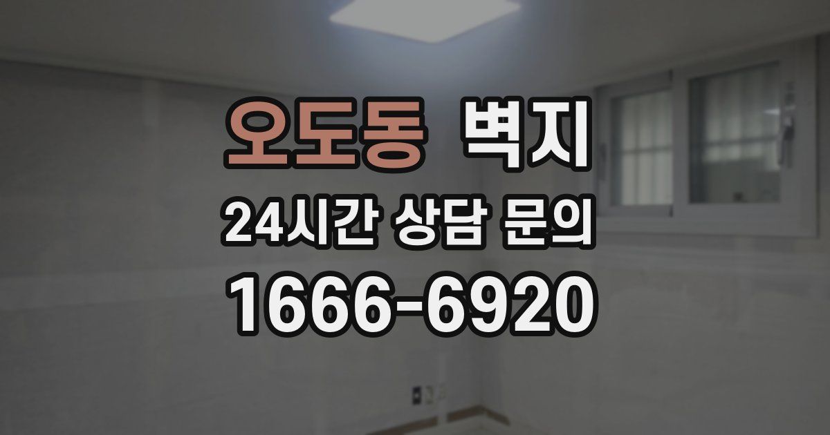 오도동 벽지