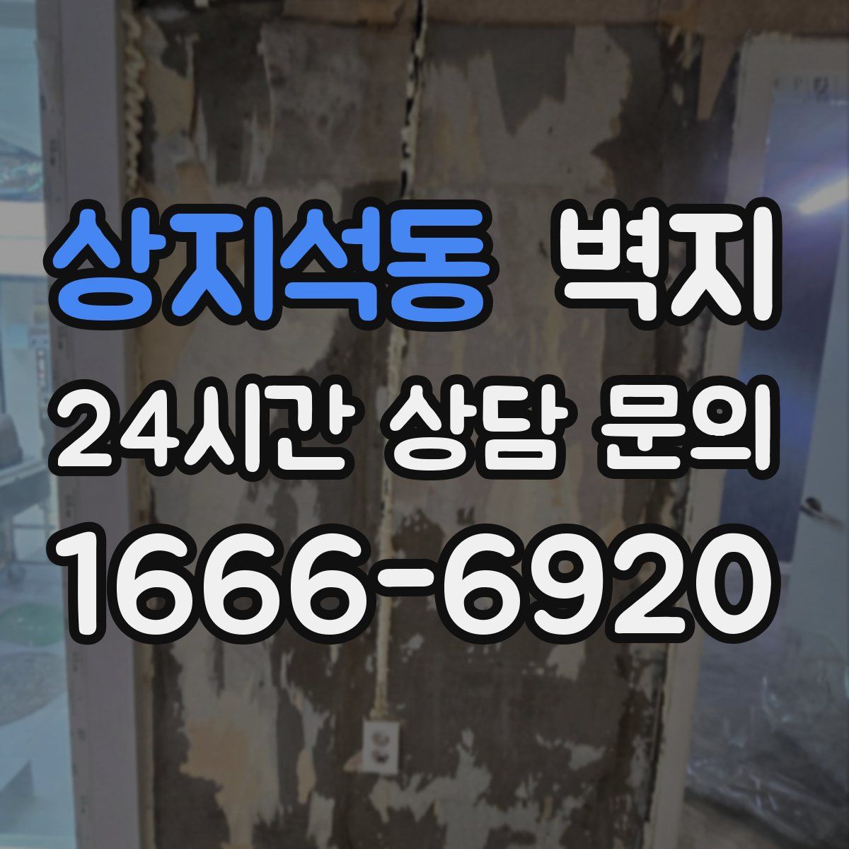 상지석동 벽지
