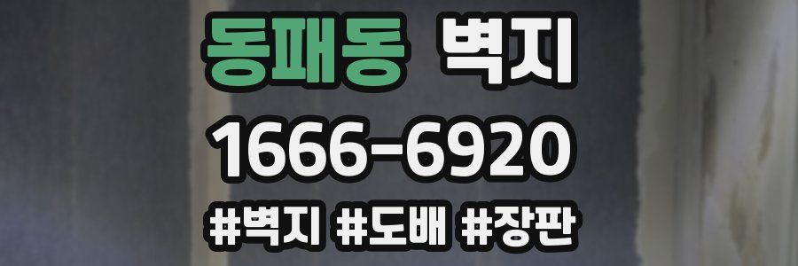 동패동 벽지