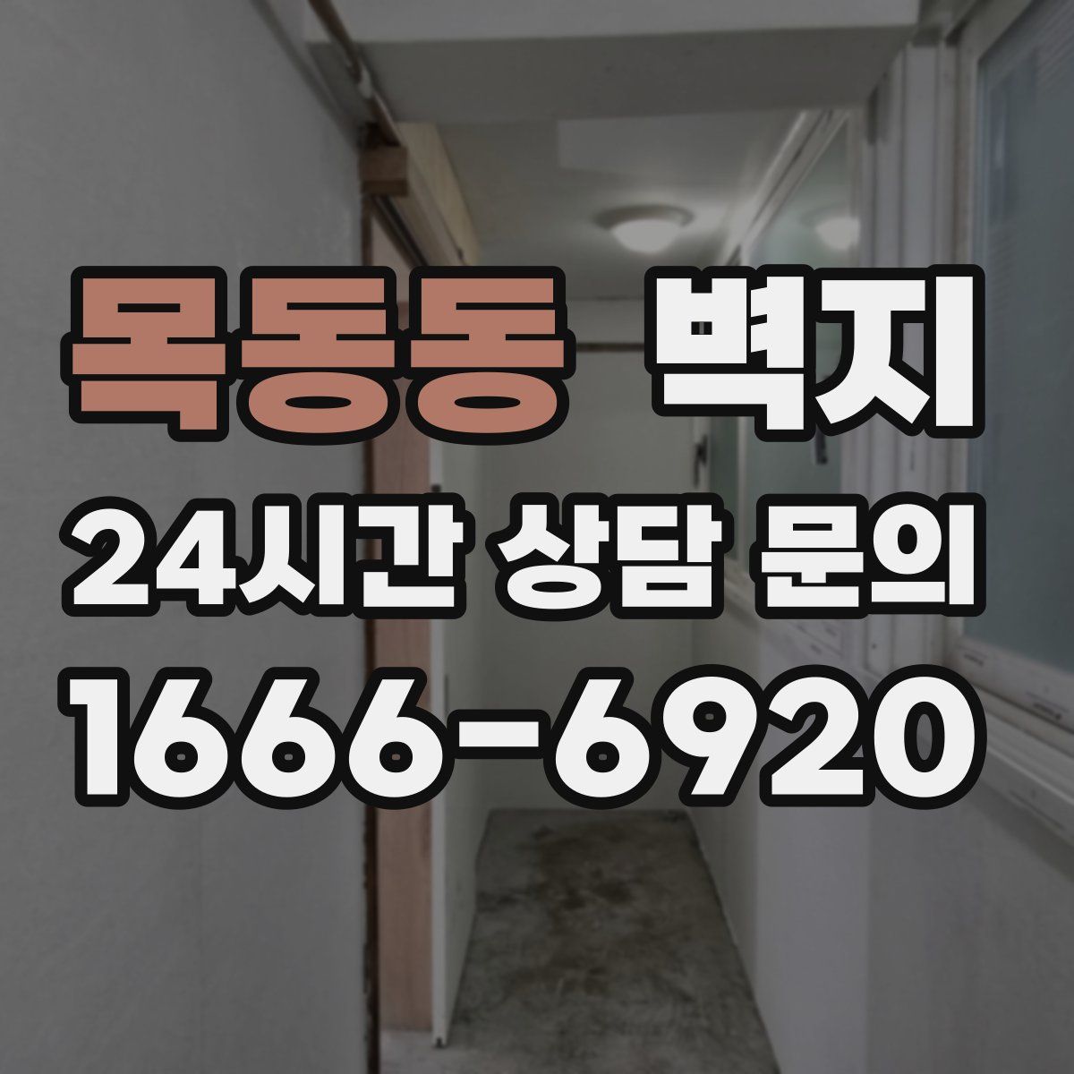 목동동 벽지