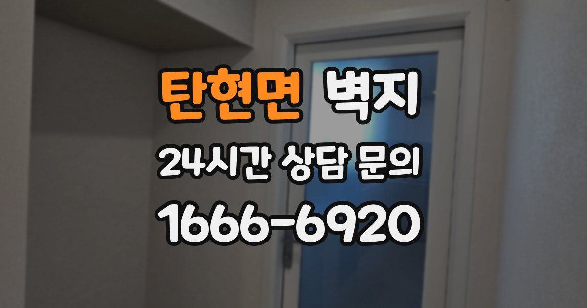 탄현면 벽지