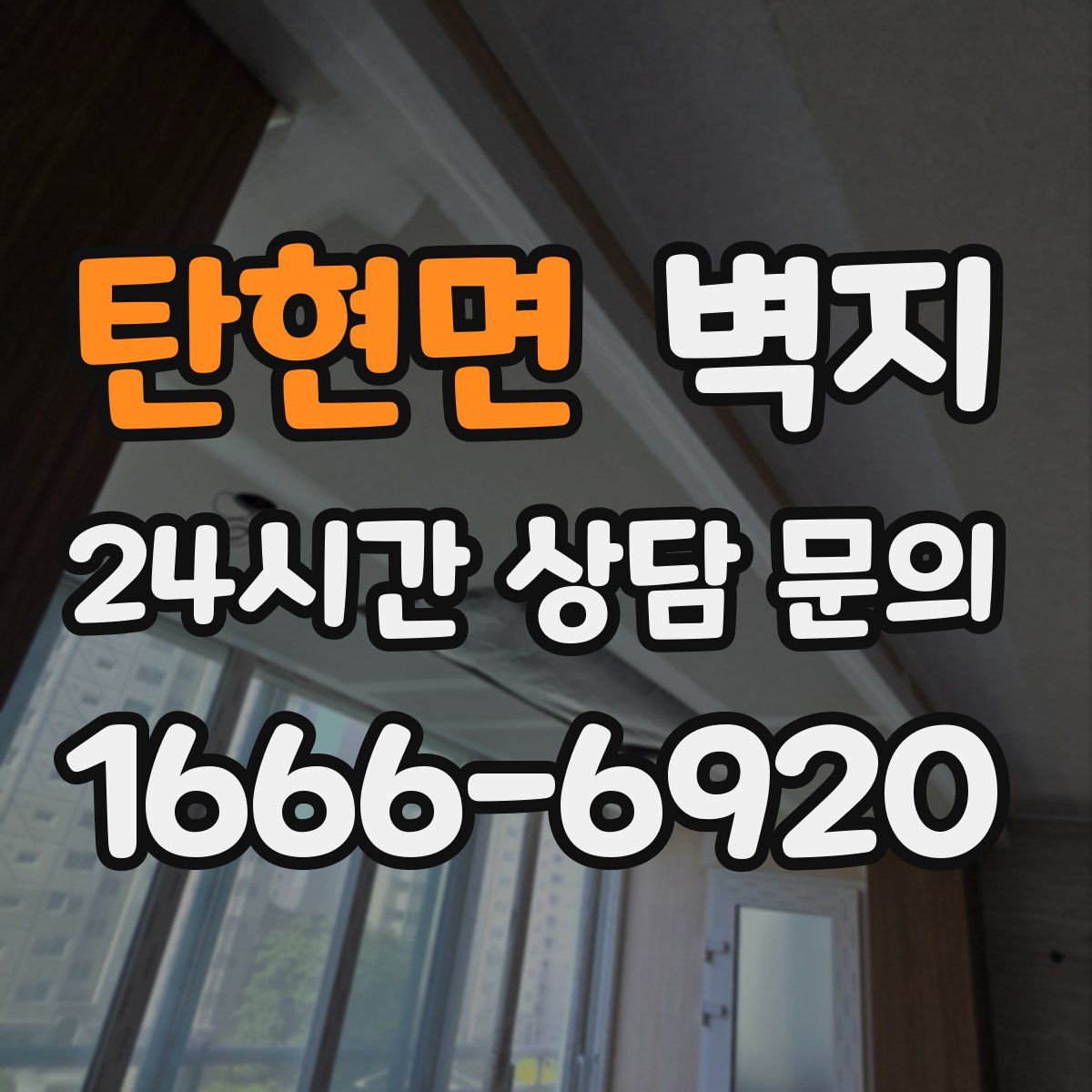 탄현면 벽지