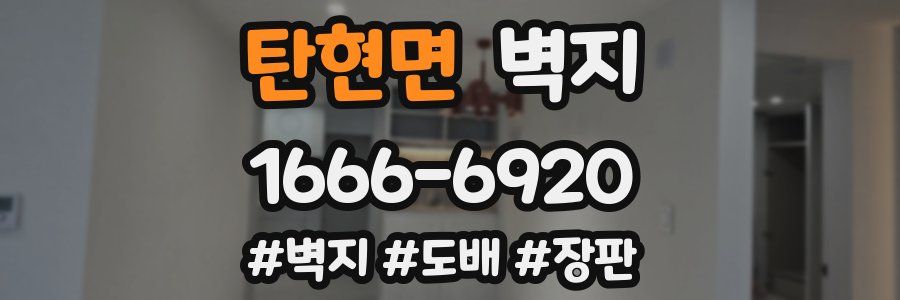 탄현면 벽지