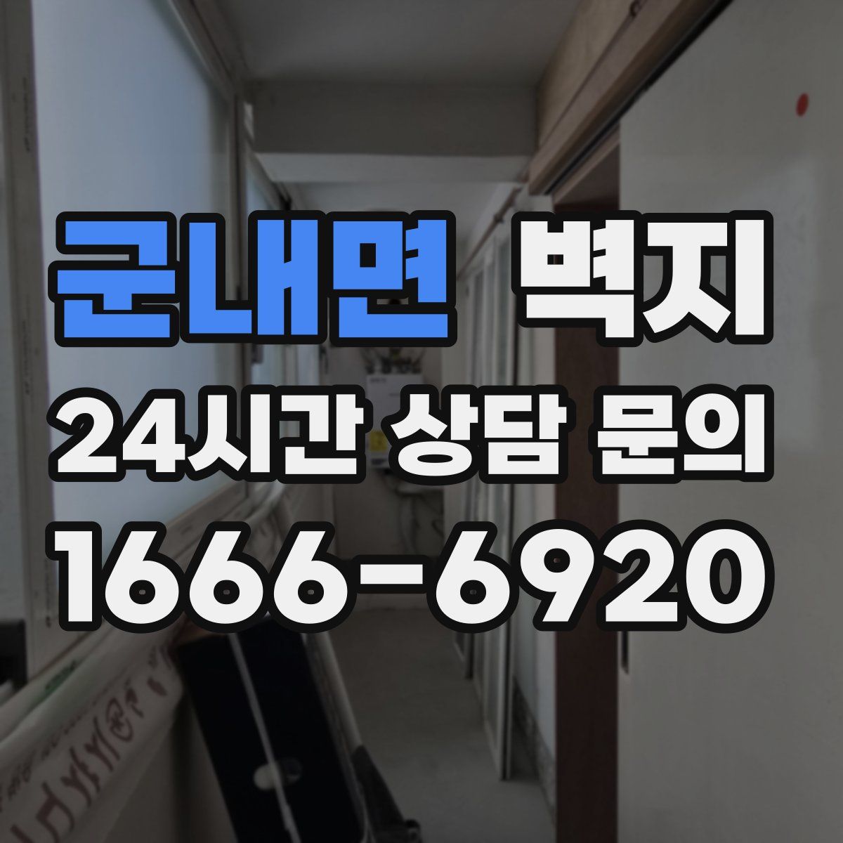 군내면 벽지