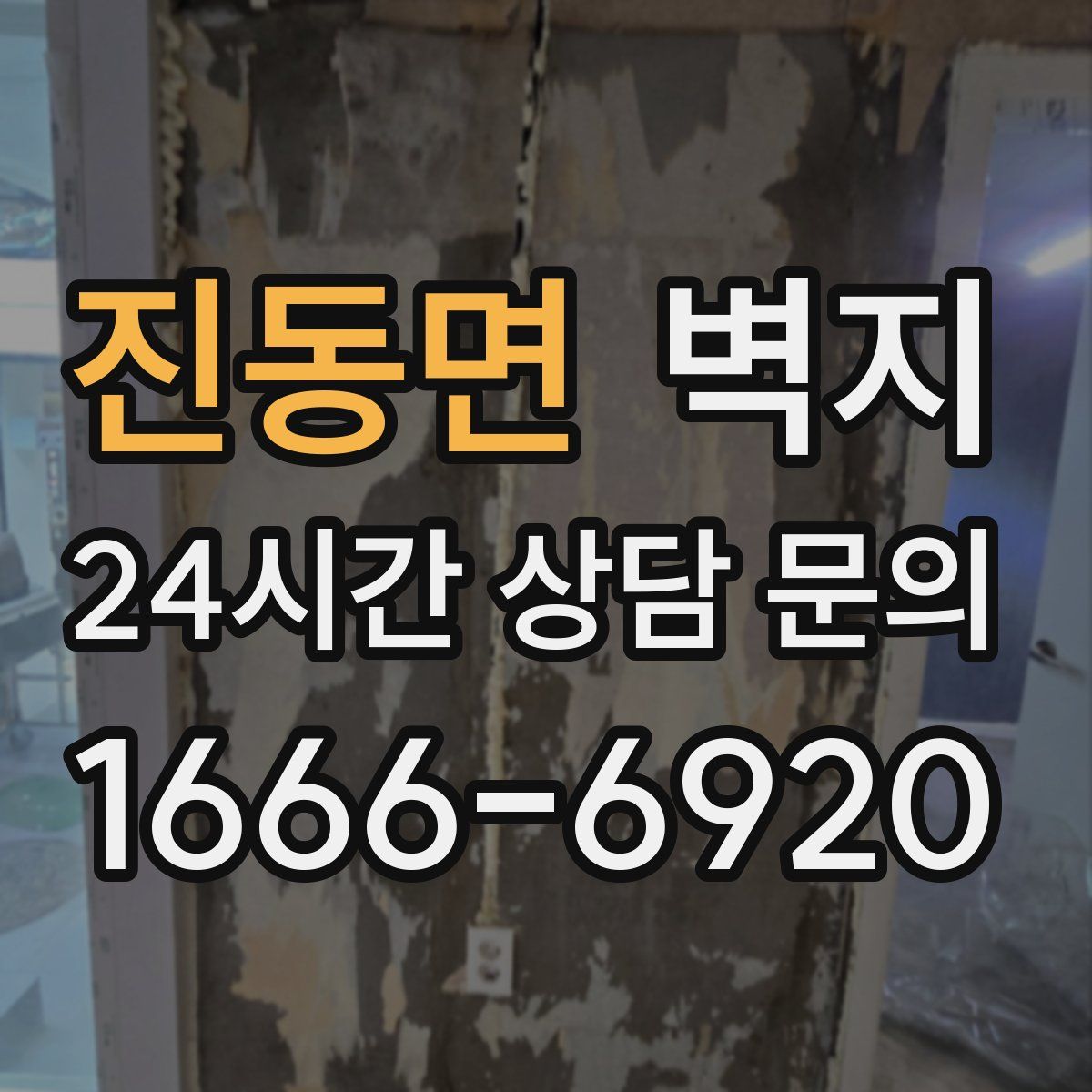 진동면 벽지