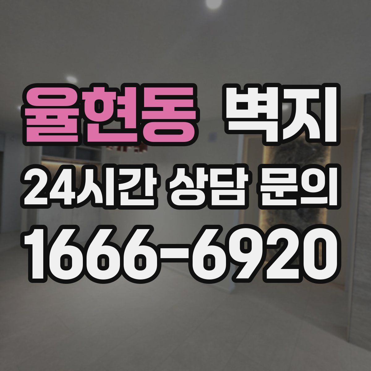 율현동 벽지
