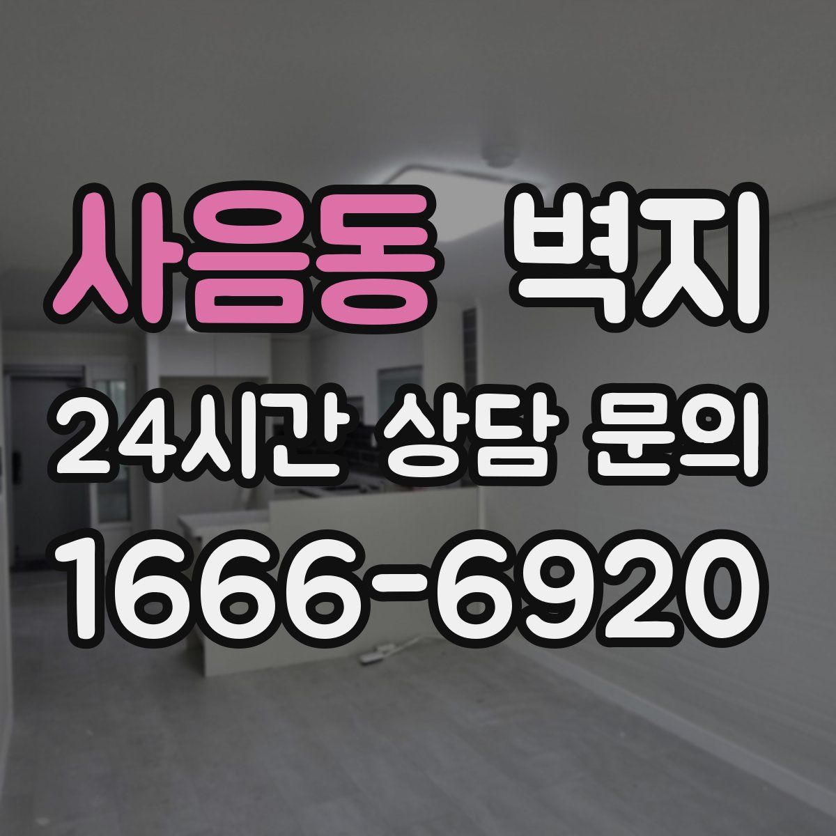 사음동 벽지