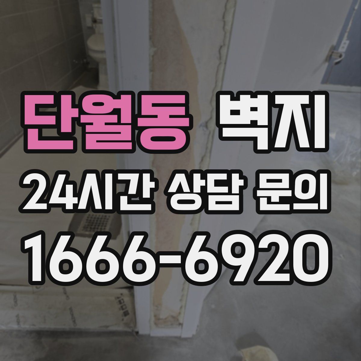단월동 벽지