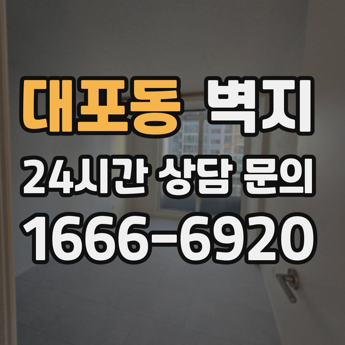 대포동 벽지