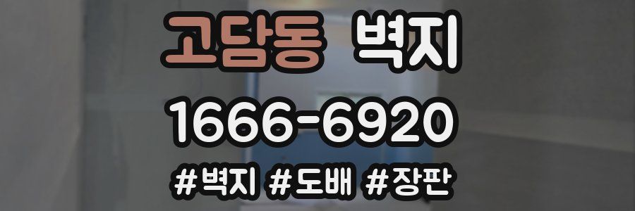 고담동 벽지