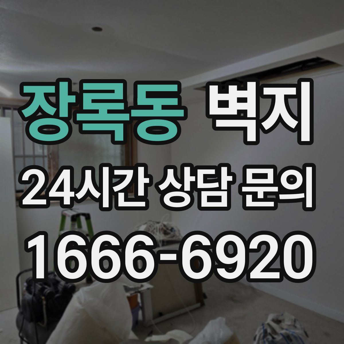 장록동 벽지