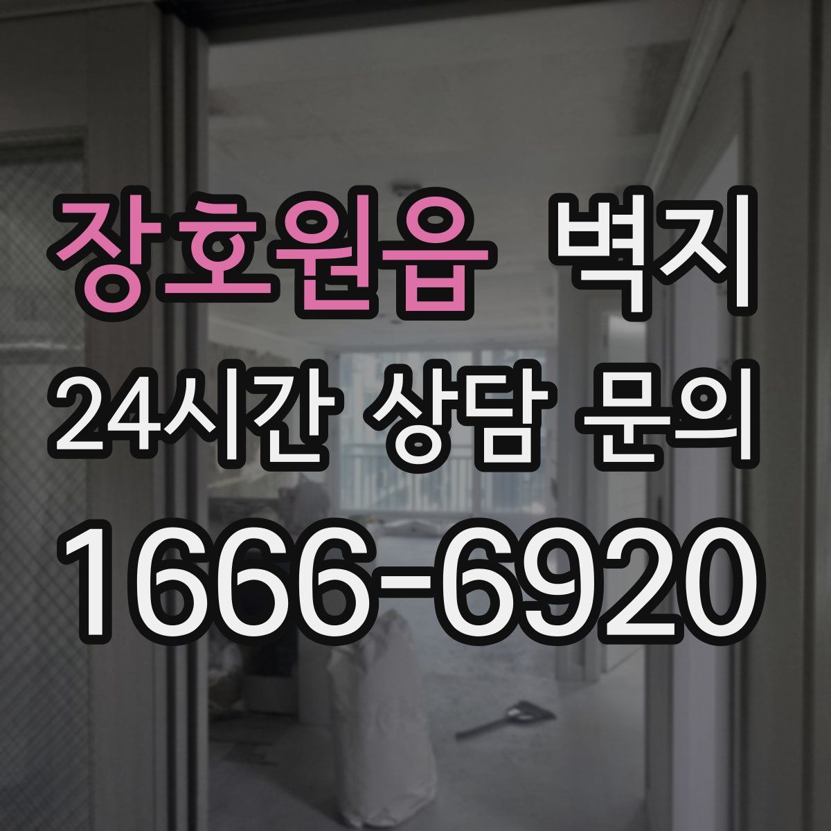 장호원읍 벽지