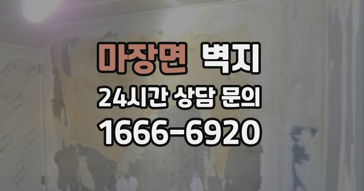 마장면 벽지