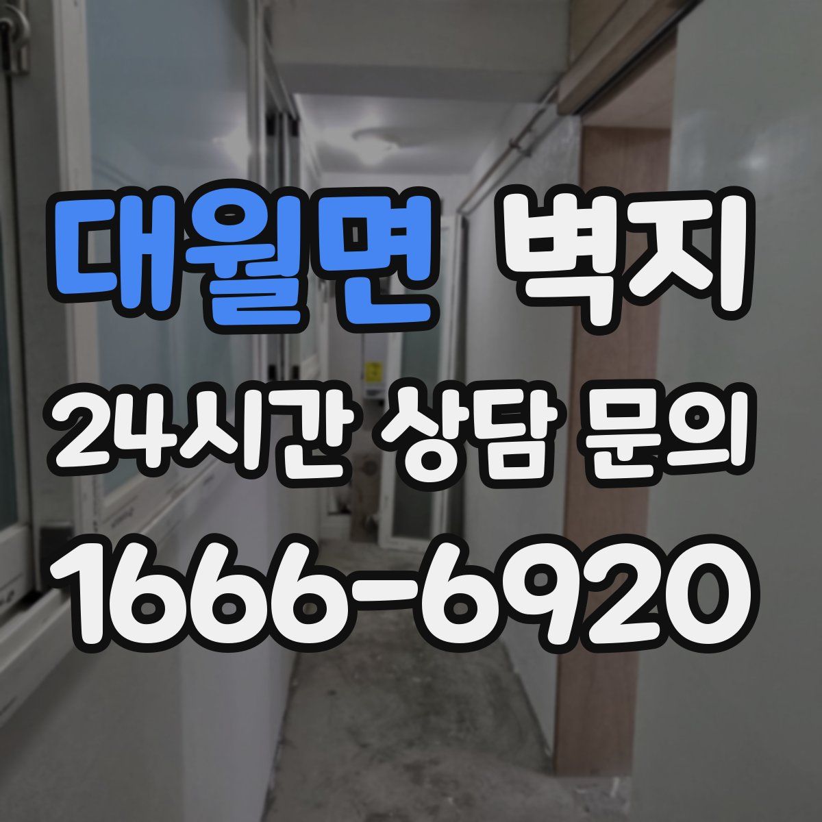 대월면 벽지