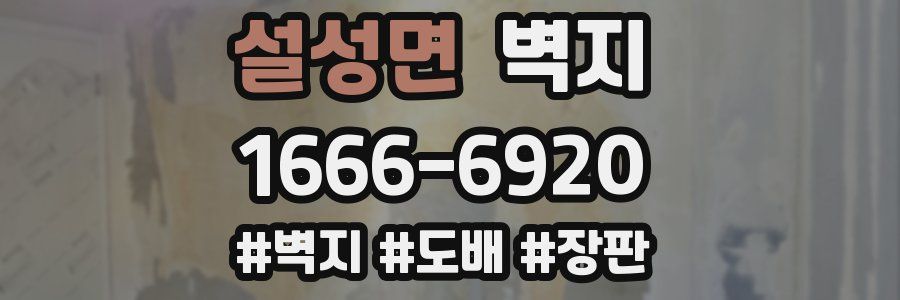 설성면 벽지