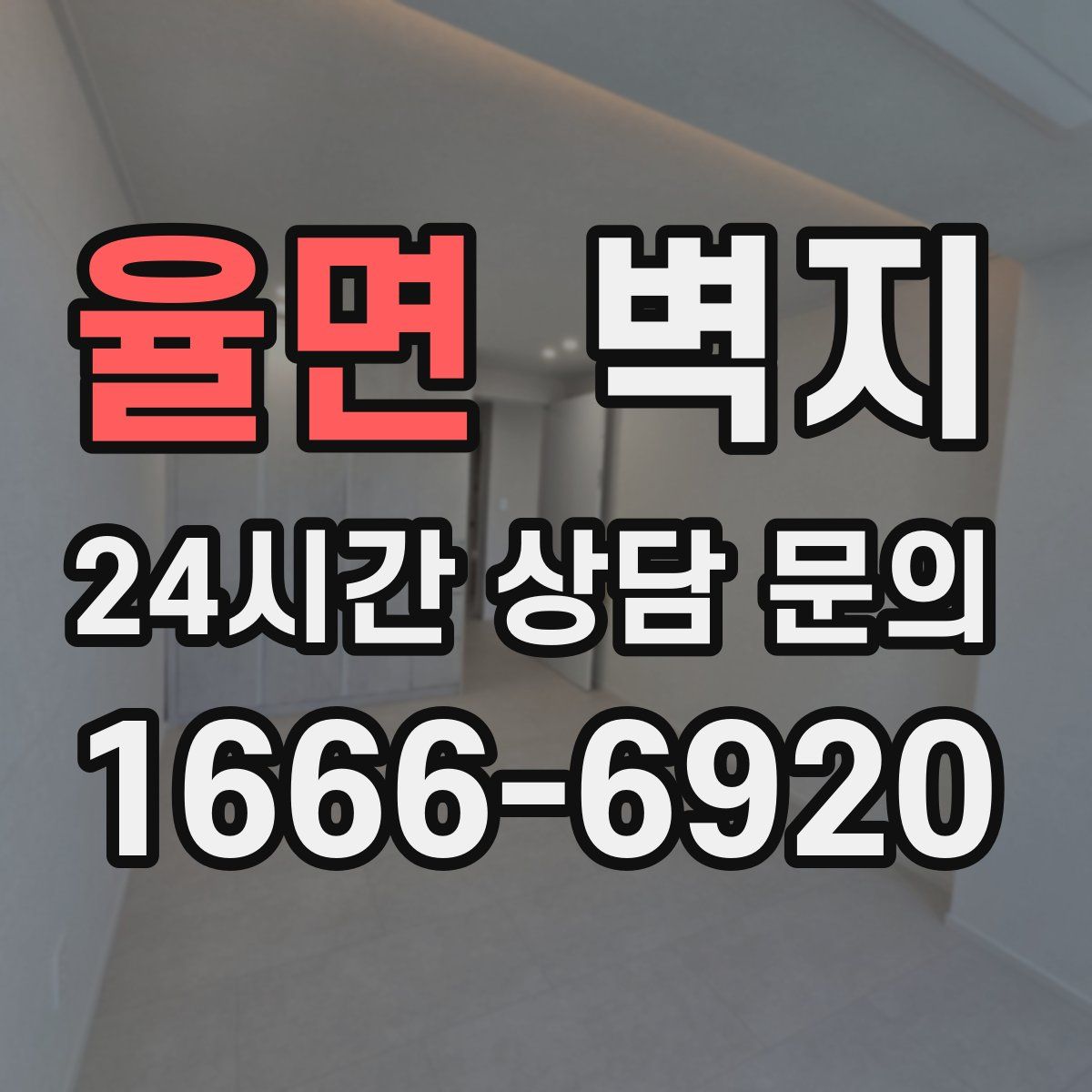 율면 벽지