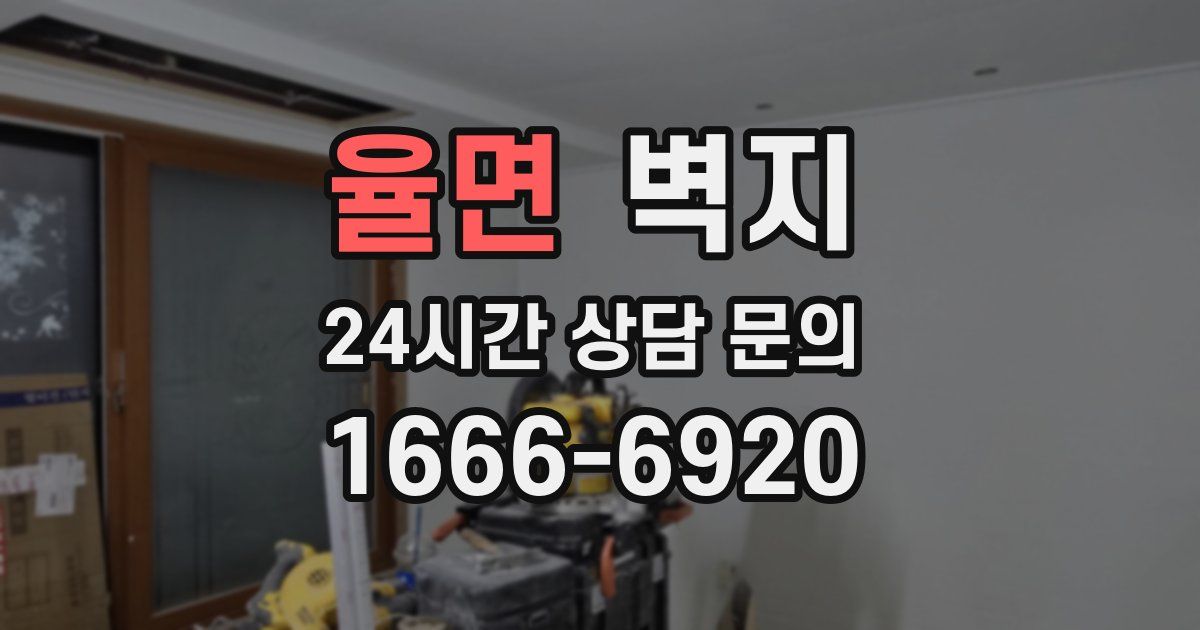 율면 벽지